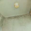 구성3로 | 아파트 꼭대기 층 베란다 곰팡이 제거와 방지를 위한 탄성코트 페인트 시공(용인시 기흥구 청덕동...