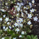 송촌2리 마을회관 이미지