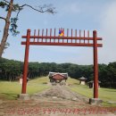 운정건강공원 축구장 | 파주 장릉(坡州 長陵)&lt;사라진 한북정맥 막내 장명산(長命山)-운정호수공원&gt;