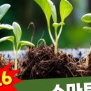 팜공인중개사사무소 이미지