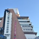 신반포로45길 29-15 (1) | 반포: 고속터미널 꽃시장, 크리스마스 오너먼트 구매후기!