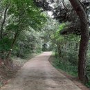 입화산참살이숲 이미지