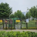 문암생태공원(반려견놀이터) 이미지