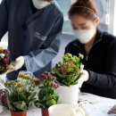 서울힐링요양병원 이미지