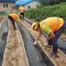 삼죽면주민자치센터 이미지