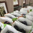 태용민박 | 진정한 촌캉스를 즐기고 싶다면 여기!_경북예천 금당실 촌캉스 미로여행