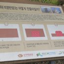 명월3리 이미지