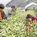 황도축산 이미지