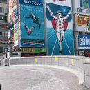 오사카 지진 직후에 여행 가서 꿀 빤 썰 이미지