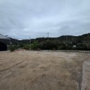 동물놀이터 화장실 | 안산 화정동 카페 팜플로리아, 아이랑 실내놀이터 동물체험 후기