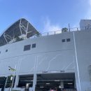 사랑의 염원 | 광복 80주년 8.15 광복절 기념 평화통일염원 숲속둘레길 걷기대회 참가후기