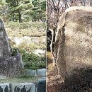 낙화암 쌍바위 이미지