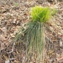 풍암한방병원 이미지