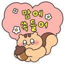 영웅K TIGERS 태권도장 이미지