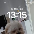 홍콩반점0410 마산삼계점 네이버블로그