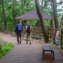 상학초교 이미지