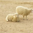 만석농장 이미지