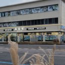 로얄펫 강아지분양 고양이분양 전주본점 이미지