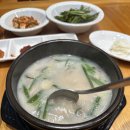 유림돼지머리국밥 | 밀양 맛집 추천 삼문동 밀양황금돼지국밥의 국밥 한 그릇 후기