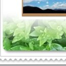 예제 : 포토스케이프에서 분할한 사진 _ 레이아웃으로 올리기 이미지