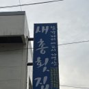 부산 자연산 횟집 맛집 : &#39;새총횟집&#39; 내돈내산 찐! 후기