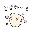 학동자동차야영장아영장 이미지