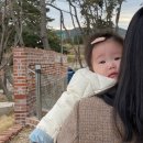 네스트(NEST) 이미지