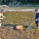 팔봉산관광지 야영장 이미지