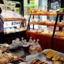 고집쎈빵 이미지