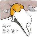 디자인이든 이미지