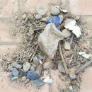 대구율금초등학교 이미지