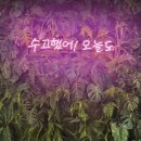 김포대로 2230번길 이미지