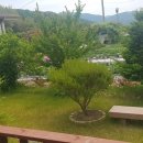 황금터부동산중개사무소 이미지