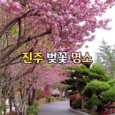 호반으로 여행 | 겹벚꽃 명소 진양호 호반전망대 경남 진주 4월 여행 코스 추천