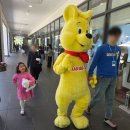스위트스토어 | 하리보 스위트 타운 팝업스토어 지역별 일정과 방문 후기