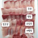 감포횟집 네이버블로그