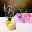 도기슈퍼 이미지