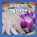 광주횟집 | [광주] 일곡동횟집 해안선 방문 후기! 가족과 함께 즐긴 대광어회와 해물요리 가득한 저녁식사