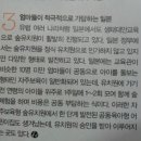 책놀이숲놀이유치원 Daum카페
