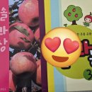 새콤달콤 맛있는 감홍 사과 (한솔사과님) 이미지
