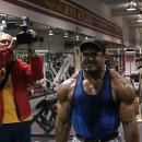 올림피아헬스클럽 이미지