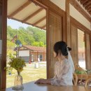 나루터상회 - 고령군 개경포로 610 | 나루터상회