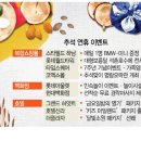 신쇼핑