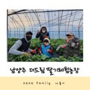 외치농장 | 다다팸 나들이: 남양주 더드림딸기체험 농장