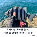 두포3 | 고성 섬낚시 주말 1항차 출조! 갯바위 전투낚시 후기