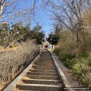 망마 주경기장 | # 여수 고락산 등산