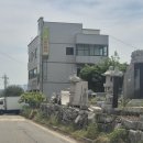 294-2-000019 | 아기 200일 사진촬영, 니니토토사진공방 촬영 후기