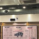 더고기 | 일산 원마운트 삼겹살 더고기창고 후기