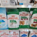 퍼피캣동물병원 이미지