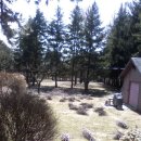 똘똘이네 이미지